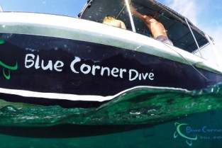 Discover Scuba Diving - Penida