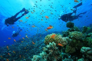 Up to $40 off Diving