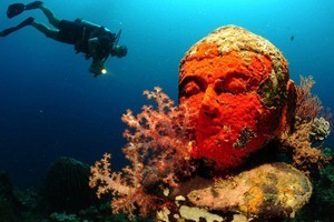 Up to $40 on Diving