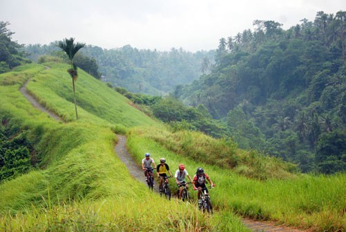 bike tour Bali