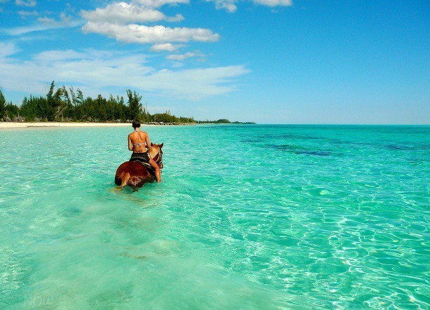 horse riding gili islands