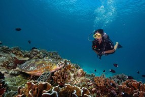 Refresher Dive Course