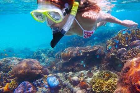 Snorkel & Mangrove Tour Lembongan