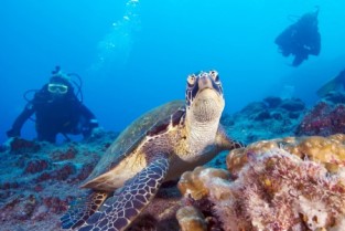 Advanced Open Water Diver Course in Padang Bai