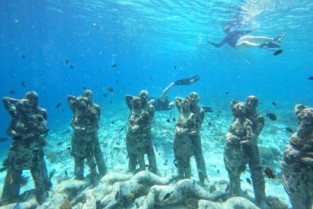 Private snorkeling tour Gili Islands