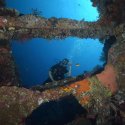 6- wreck dive