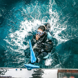 3.Back roll entry