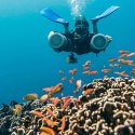 9. Sidemount smile with fish