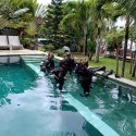 7. advanced open water diver course ok diver