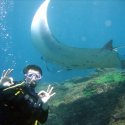 4. earn your diving certificate with ok divers