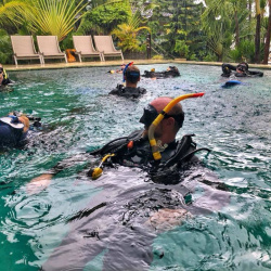 2.discover diving course padang bai