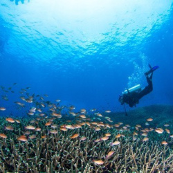 6. best diving places near padang bai