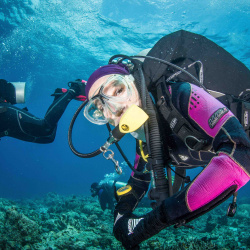 1- diver