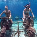 1. vespa snorkeling Gili Islands