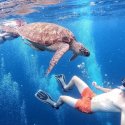 5- turtle Gili Islands