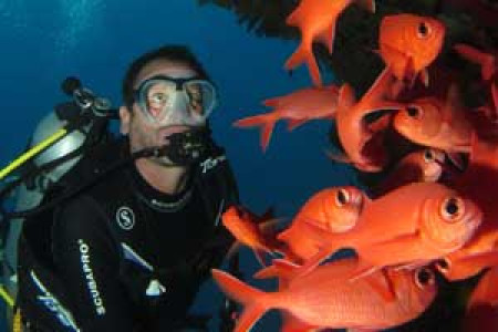 Guided Fun Dives - Lembongan