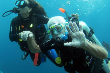 Scuba Diving Courses - Lembongan