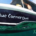 1.Diving with Blue Corner Dive Nusa Penida