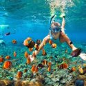 91. Snorkeling at mangrove Lembongan