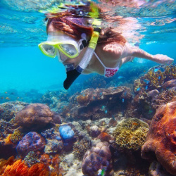 94. Snorkeling Crystal Bay