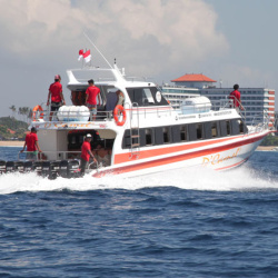 1. Dcamel Fast Ferry