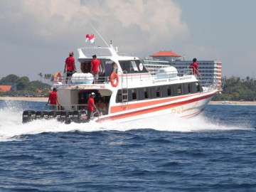 1. Dcamel Fast Ferry