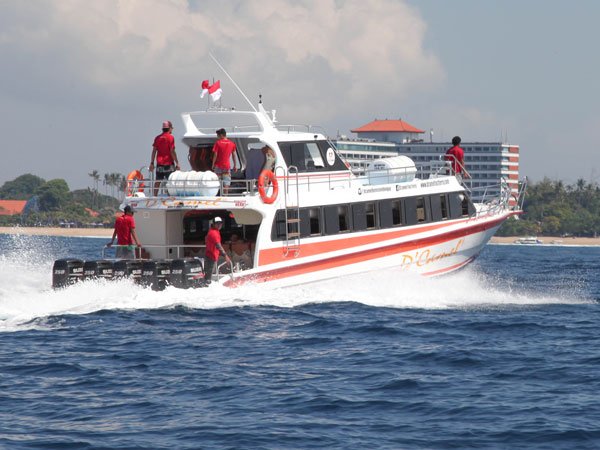 1. Dcamel Fast Ferry