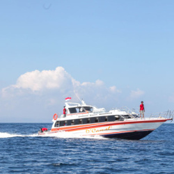 2. Dcamel Fast Ferry