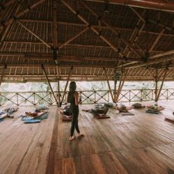 6. Teaching at Flowers and Fire Yoga