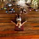 8. Yoga class on Gili Air Indonesia