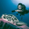 6.Cool Dive shots with a turtle