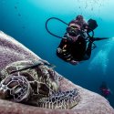 6. Dive with turtles in the Gilis