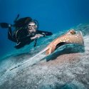 6. Diving with manta rays