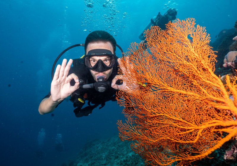 Diving with Nitrox
