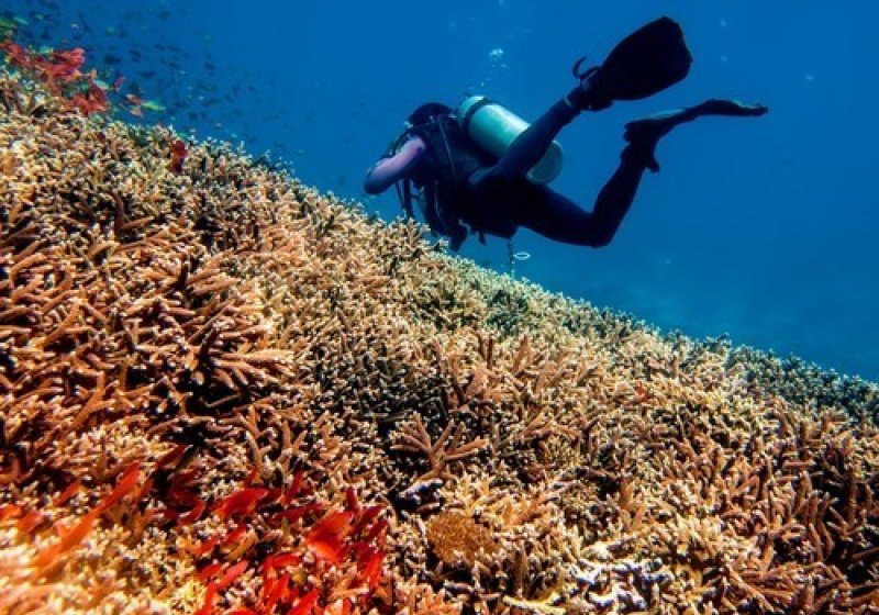 1. advance diver in Padang Bai