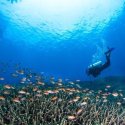 6. best diving places near padang bai