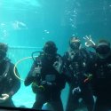 4.ok diving school in padang bai