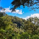 4. Tropical forest Lombok