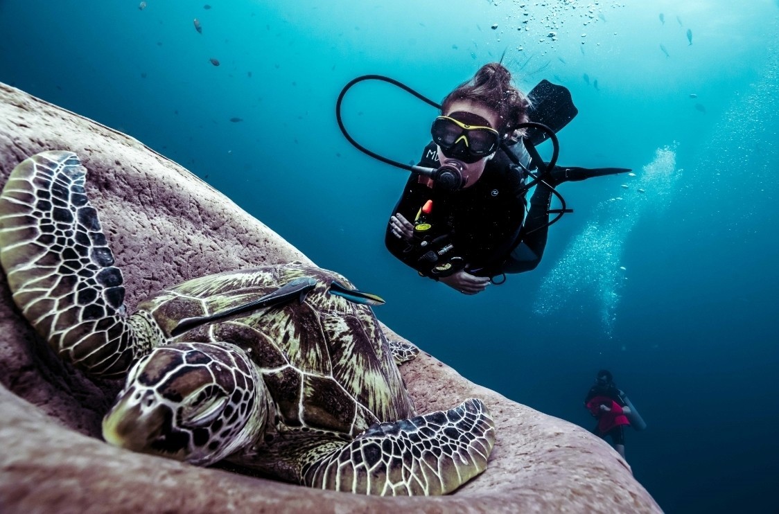 turtle diving Gili Trawangan