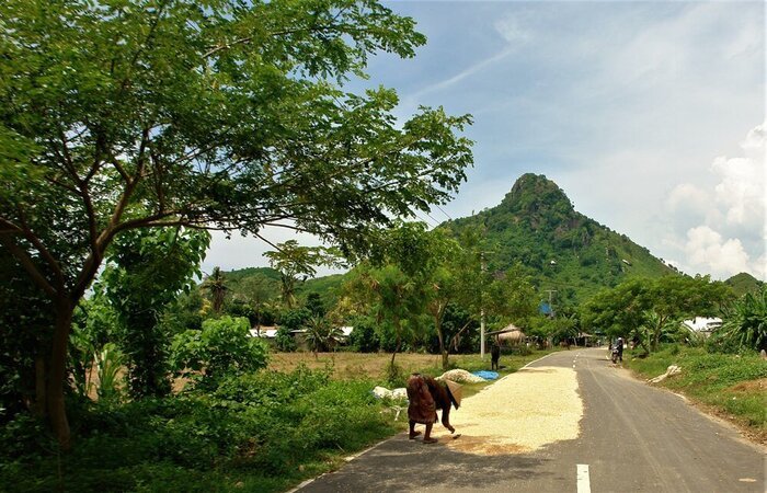 south lombok traditional agriculture