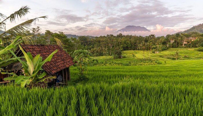 travel to bali