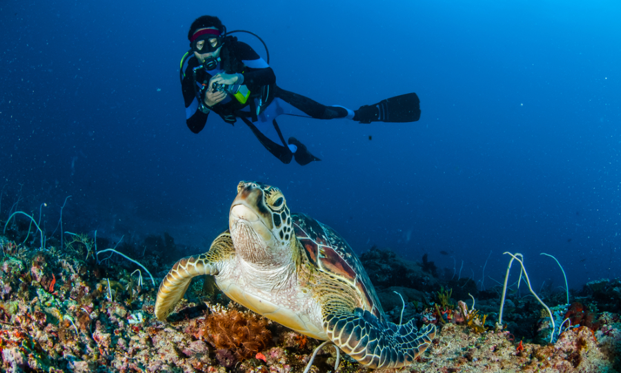 Diving in the gilis