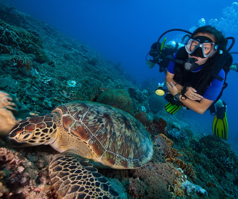 turtle diving Gili Trawangan