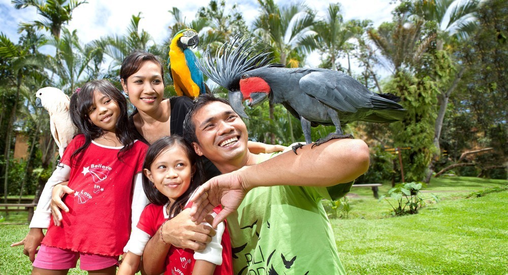 bird park bali discount