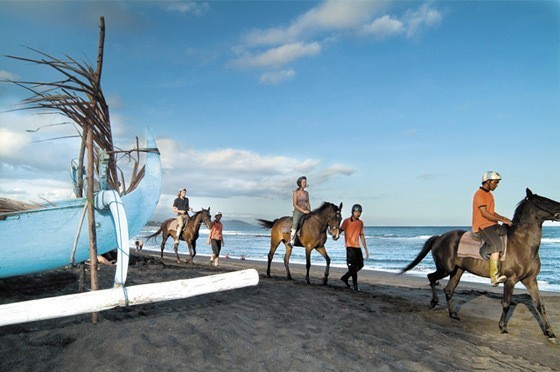 STUD stable Gili Trawangan horse riding beach