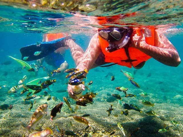 snorkelling in Gili Gede Lombok