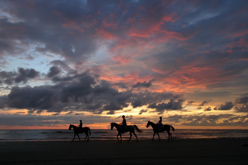 horse riding Gili T