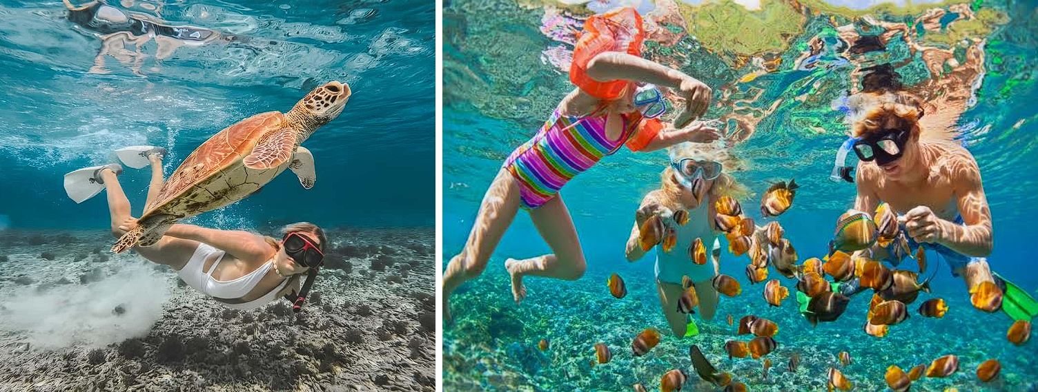 Snorkeling Gili T