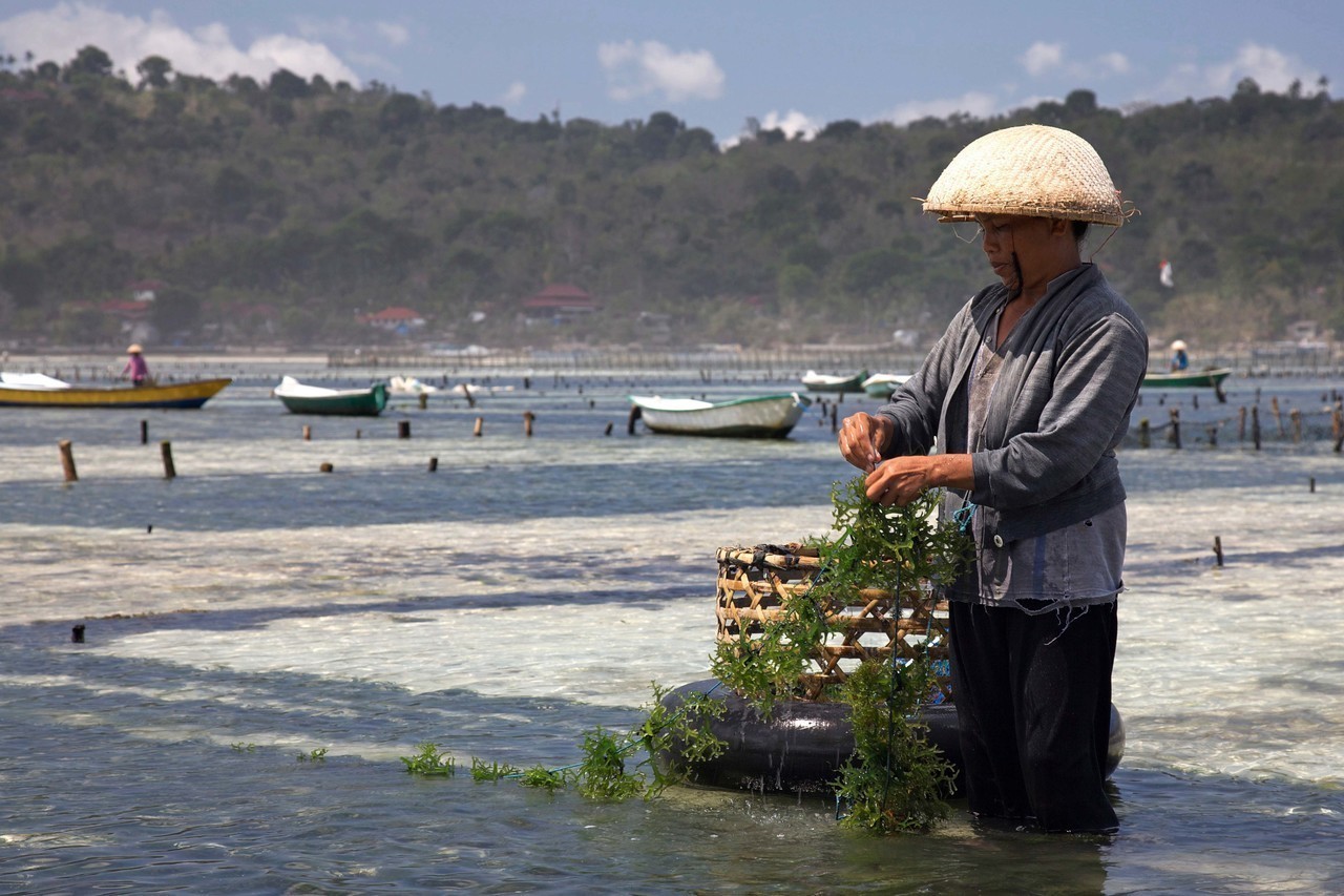 Lembongan