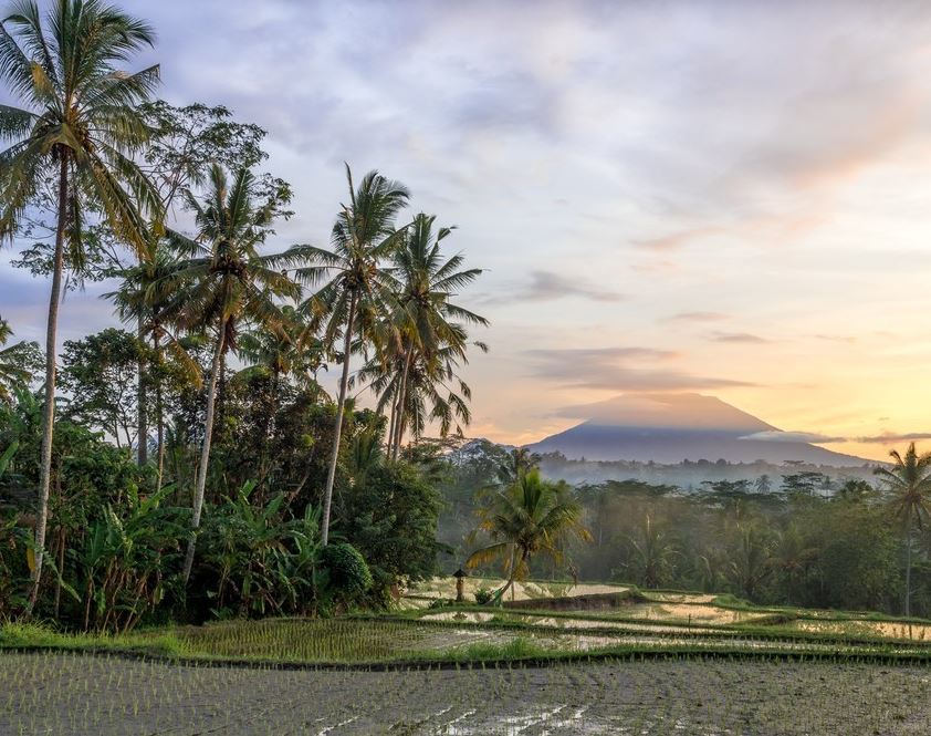 getting around Bali